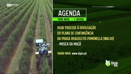 Imagem de Faça Chuva Faça Sol