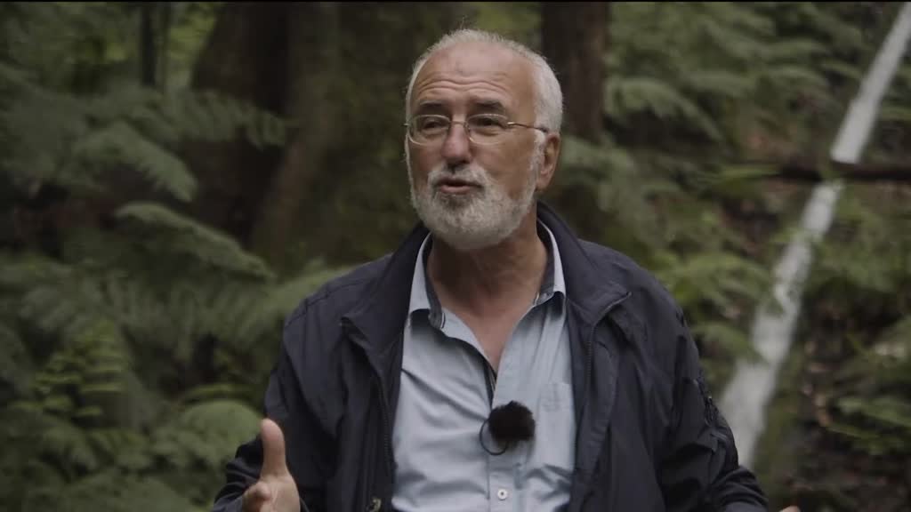 Imagem de Visita Guiada - Ilha da Madeira, Levadas