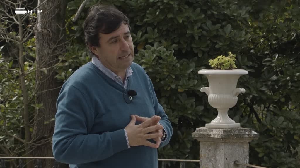 Imagem de Visita Guiada - Parque Botânico do Monteiro-Mor, Lisboa