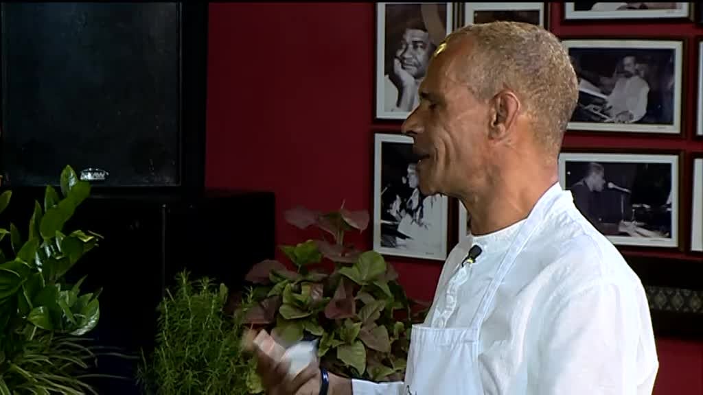 Imagem de Temperos da Dona Ália