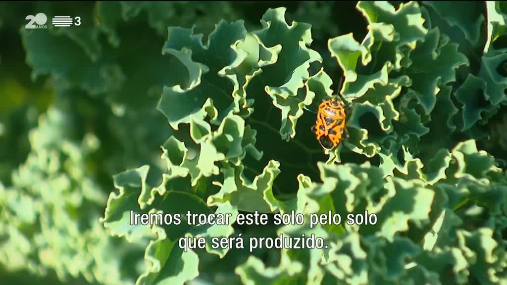 Imagem de De Lisboa a Estocolmo - Eslovénia