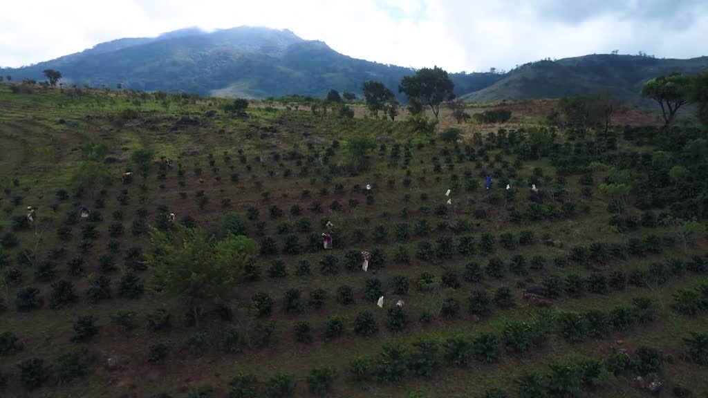 Imagem de Jovens Cientistas da Gorongosa - Parque Nacional da Gorongosa - (Compacto de 45´)