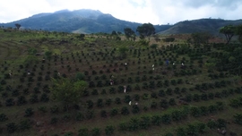 Imagem de Parque Nacional da Gorongosa - (Compacto de 45�)