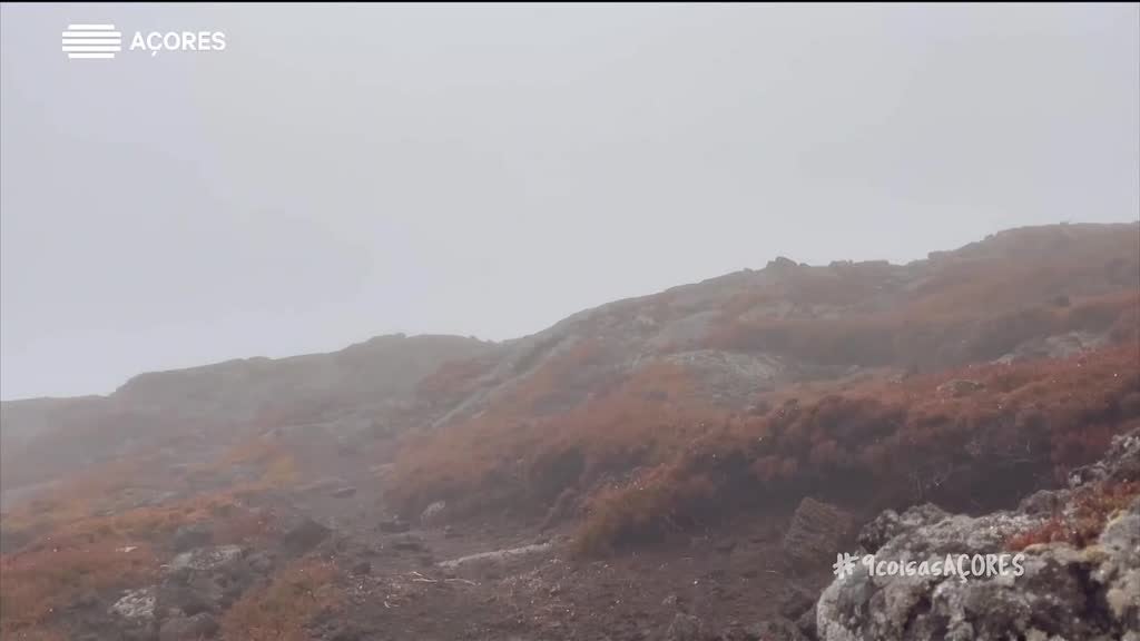 Imagem de 9 Coisas Que Não Sabes Sobre...