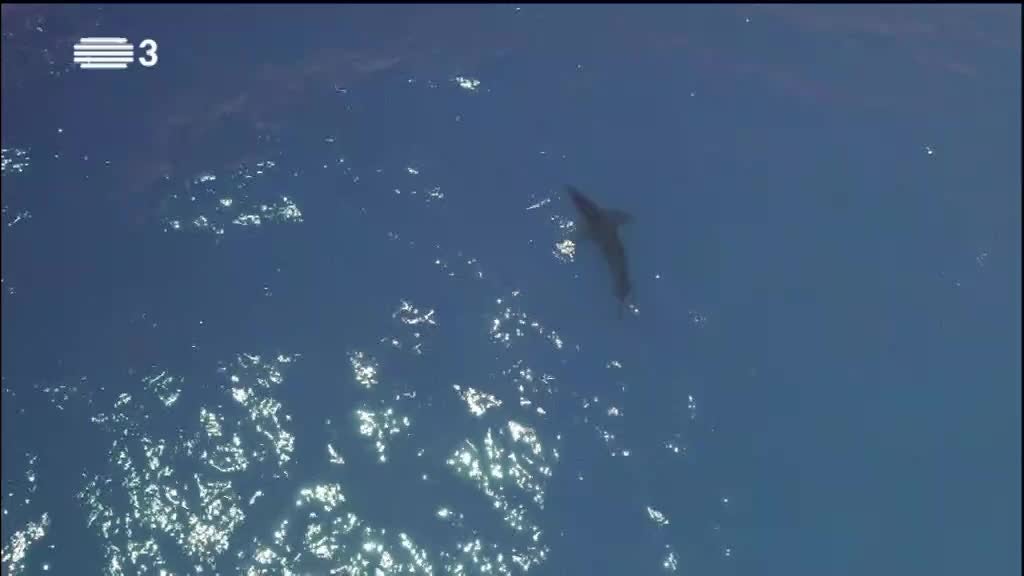 Imagem de Planeta Magalhães