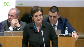 Imagem de Plenrio novembro | Plano e Oramento para 2026