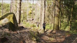 Imagem de Desporto 2