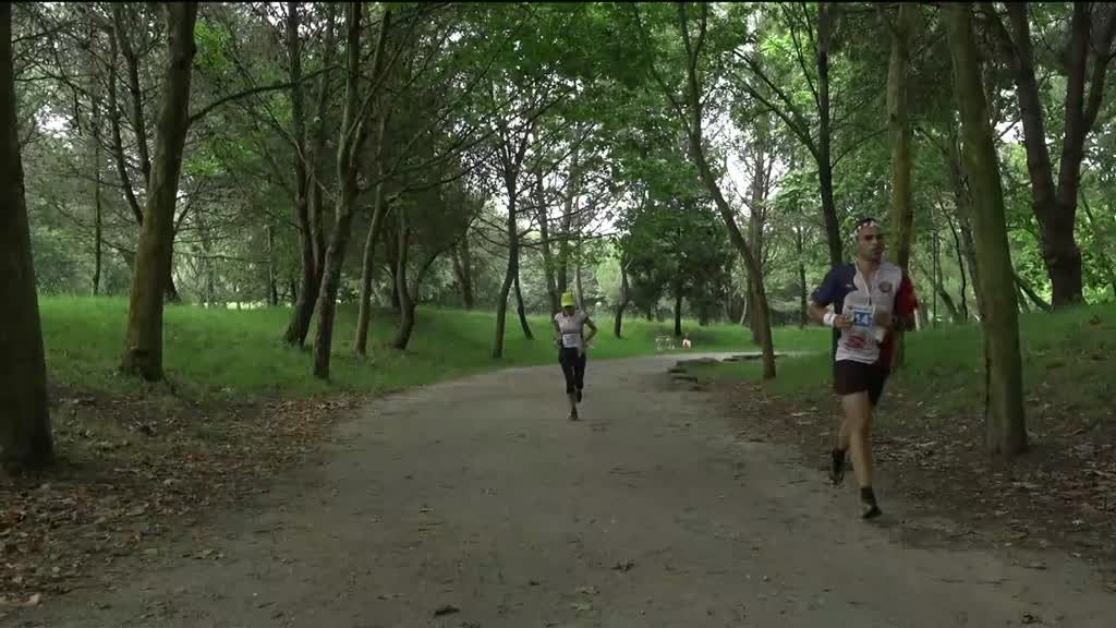 Imagem de Desporto 2