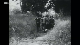 Imagem de Memrias da Guerra