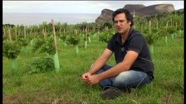 Imagem de Por Isso � que Sou das Ilhas de Bruma