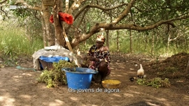 Imagem de NOmang - Plantas Sagradas