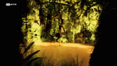 As Novas Viagens Philosophicas - Brasil: Rãs Que Contam a História da Floresta
