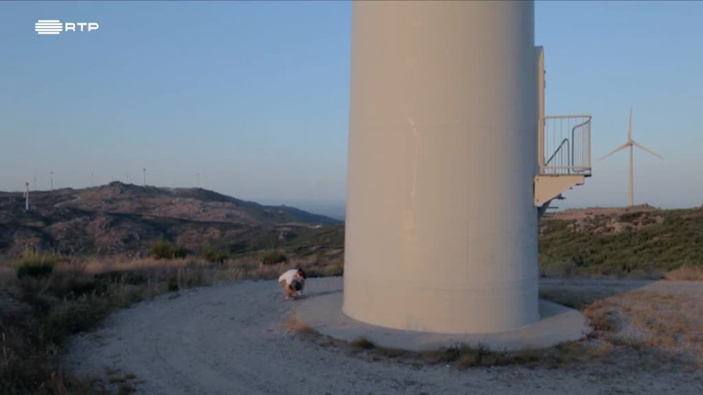 Imagem de As Novas Viagens Philosophicas - Morcegos de Portugal