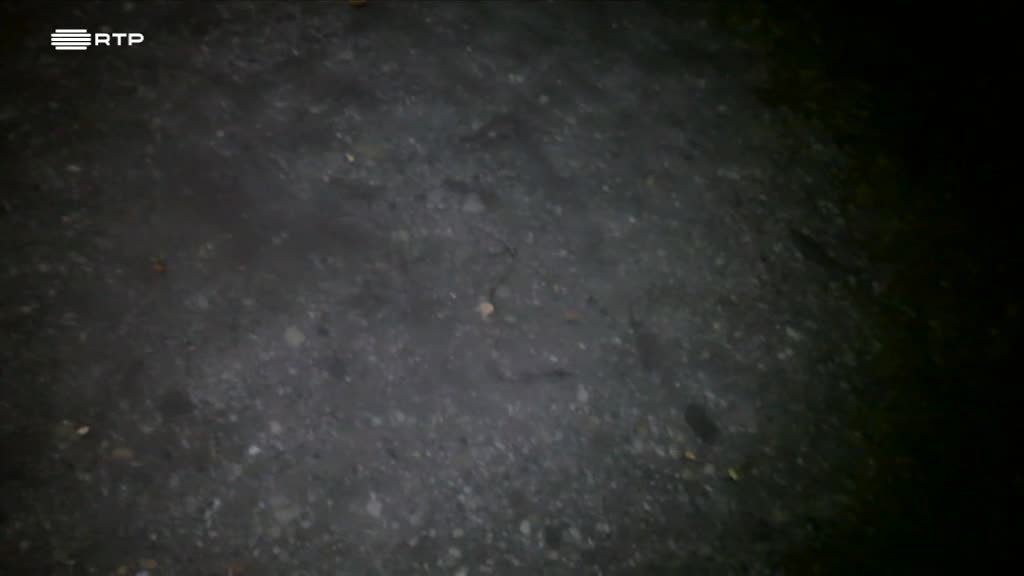 Imagem de As Novas Viagens Philosophicas - Portugal, Itália e França: A História Interrompida dos Peixes Migradores