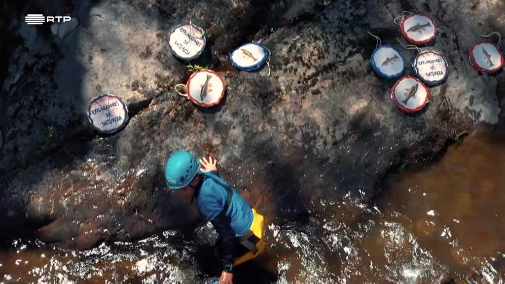 Imagem de Exploradores da Natureza - Rio Tâmega - Pena Aventura