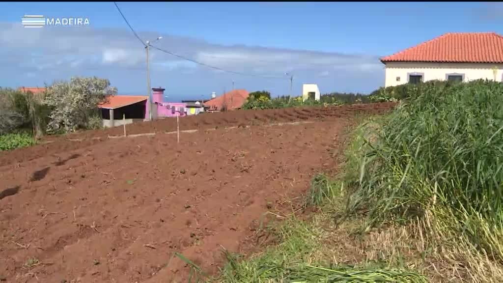 Imagem de Freguesias da Madeira