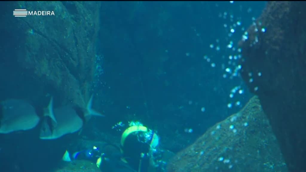 Imagem de Freguesias da Madeira