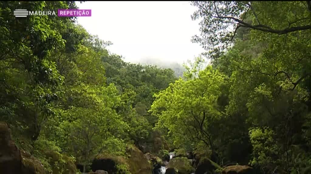 Imagem de Origem da Água