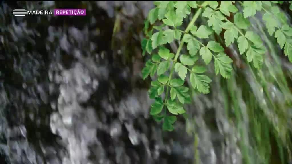 Imagem de Origem da Água