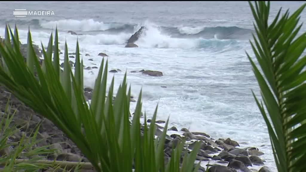 Imagem de Retratos Concelhios