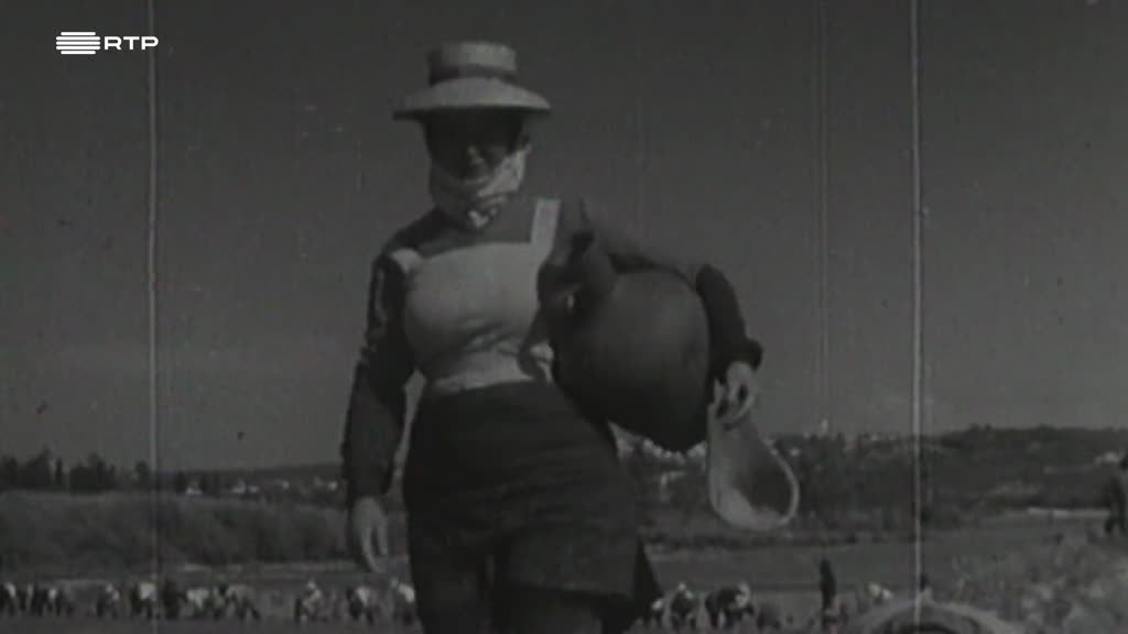 Imagem de PCP: 100 Anos a Resistir