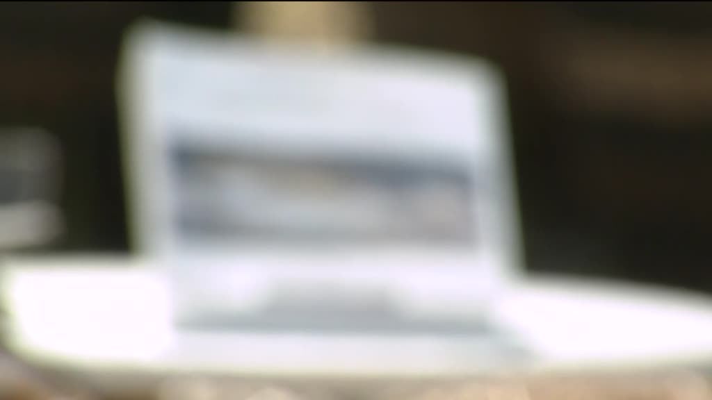 Imagem de Festa das Vindimas 2021 - Valpaços