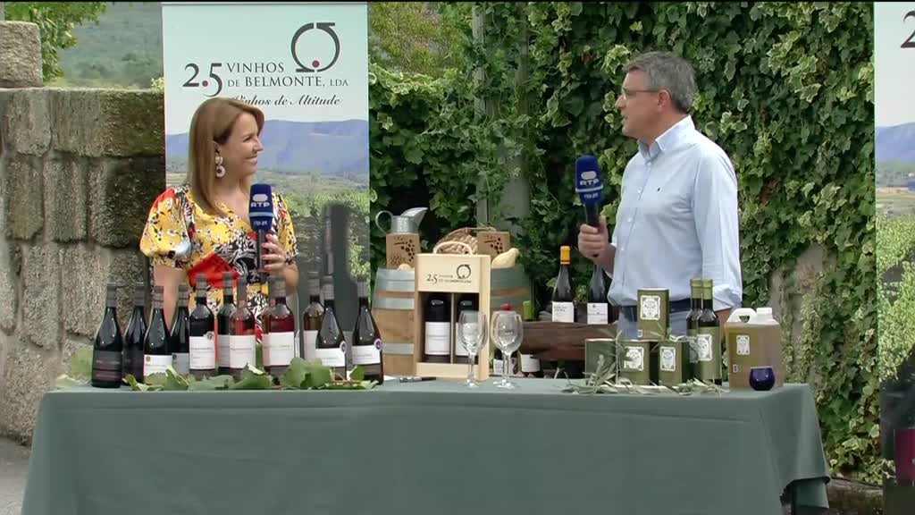 Imagem de Festa das Vindimas 2021 - Belmonte