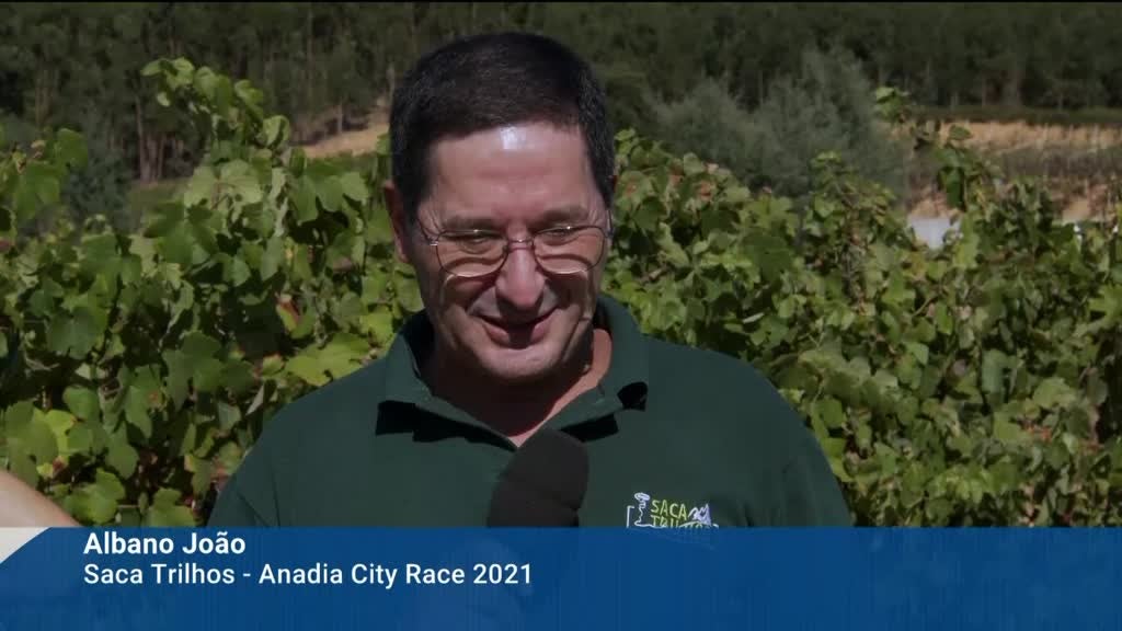 Imagem de Festa das Vindimas 2021 - Anadia