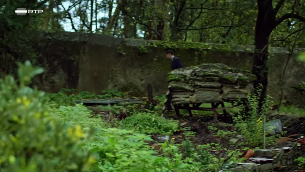 Imagem de Chegar a Casa