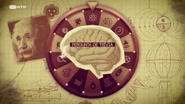 Imagem de Joga Quem Quizzer