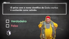 Joga Quem Quizzer