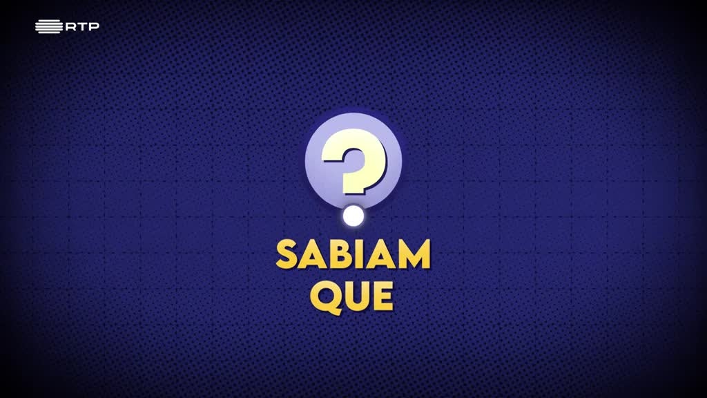 Imagem de Joga Quem Quizzer