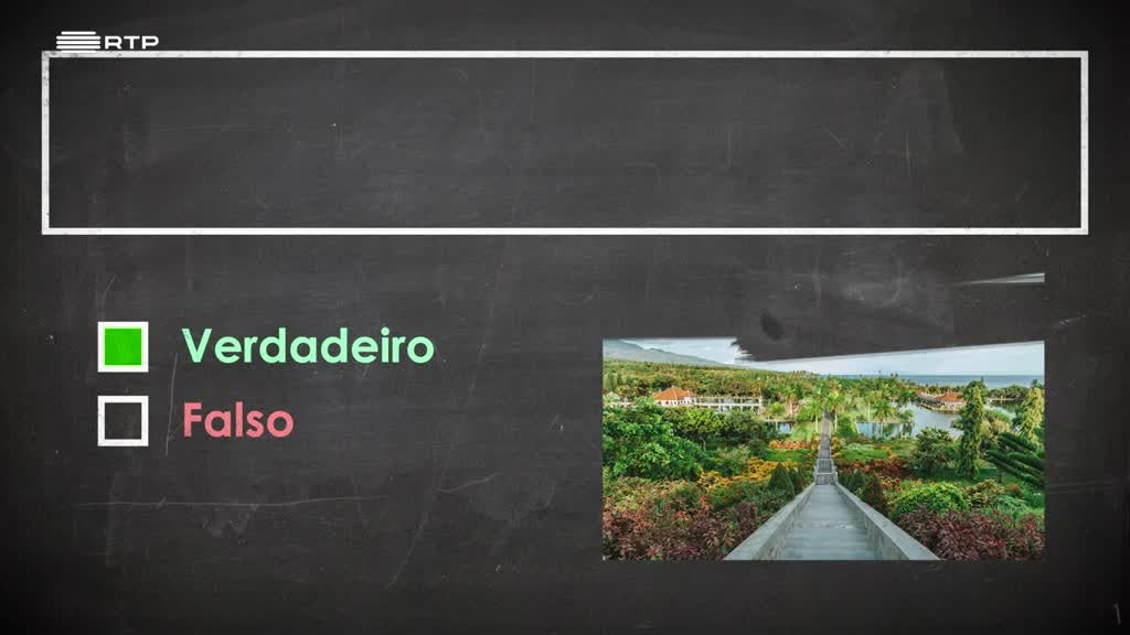 Imagem de Joga Quem Quizzer