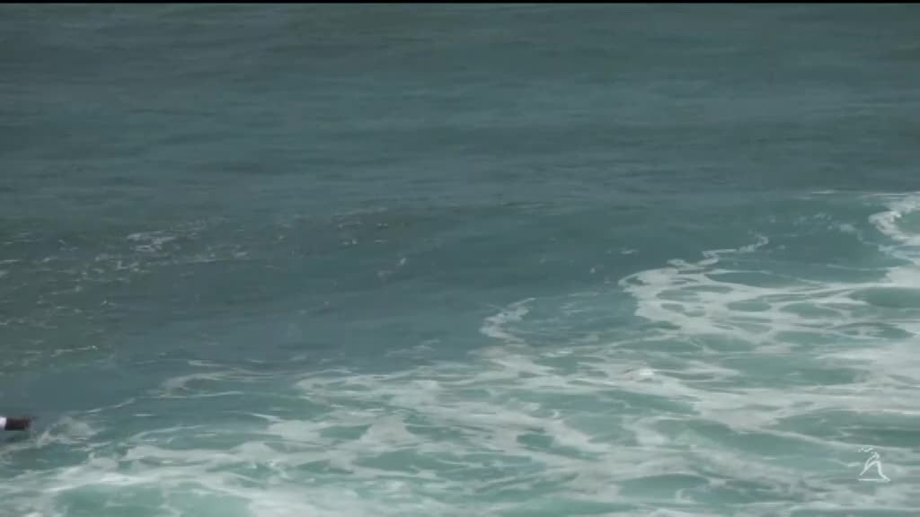 Imagem de ProSurf São Tomé 2021