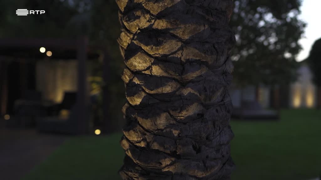 Imagem de O Elogio da Luz - Jardins que Entram em Casa