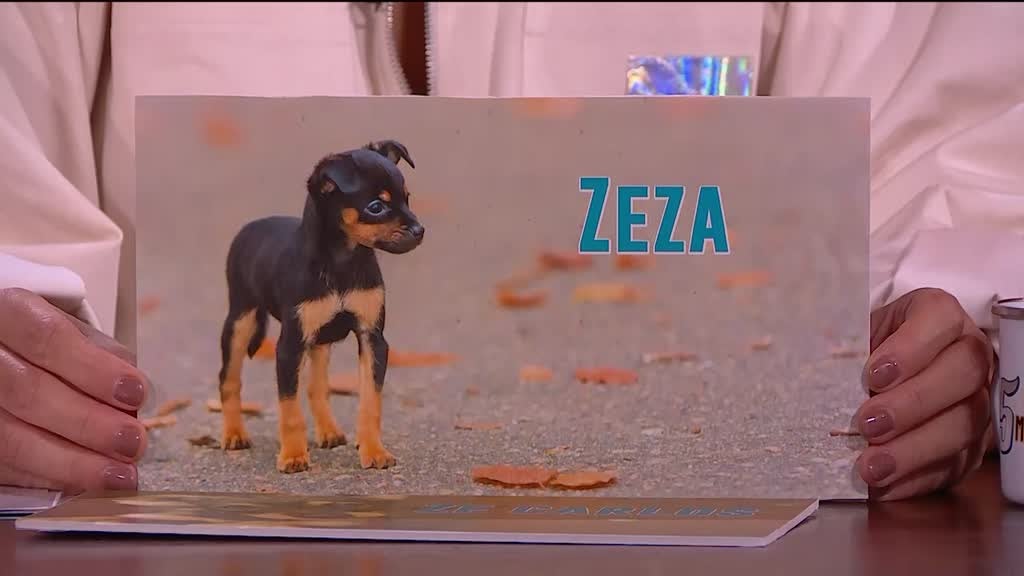 Imagem de 5 Para a Meia-Noite - Paulo Rangel, Ana Bacalhau, Tó Zé Brito, Inês Meneses, Os Primos, André Pinheiro