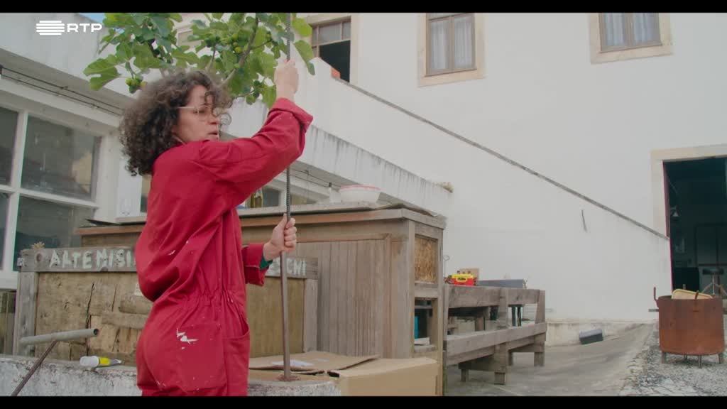 Imagem de Nascentes - A Nascente Como Criação