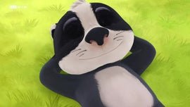 Imagem de O Senhor Texugo e a Senhora Raposa