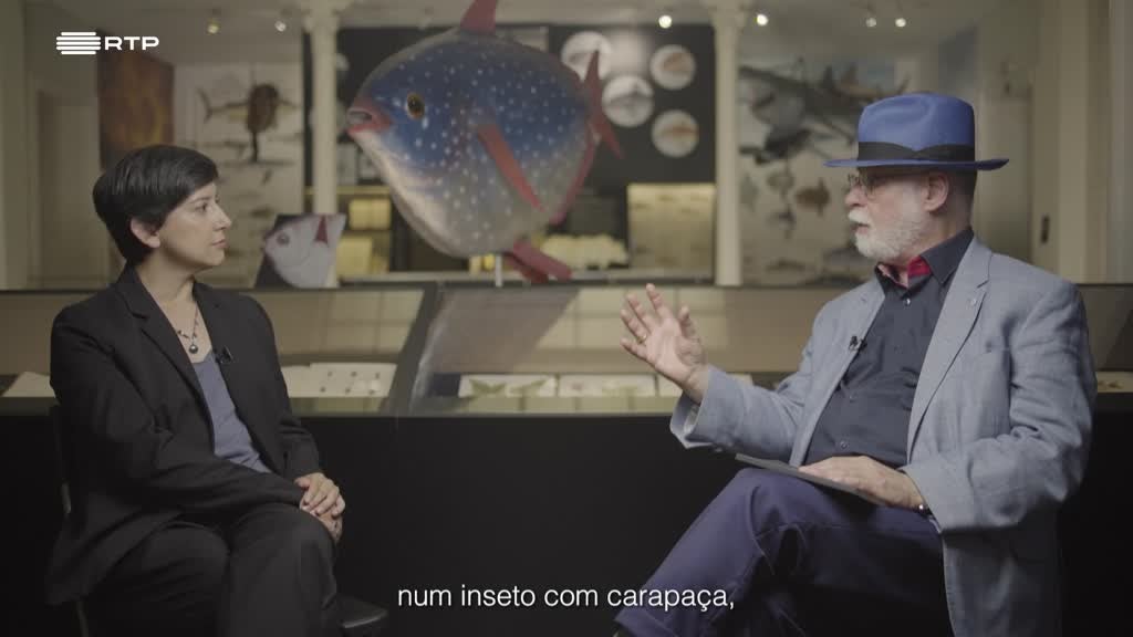 Imagem de A Vida Privada dos Livros