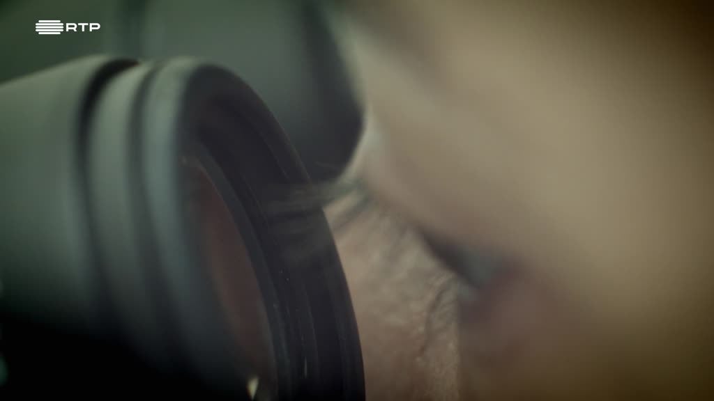 Imagem de A Arte da Cura - Leonardo Da Vinci ao Raio X