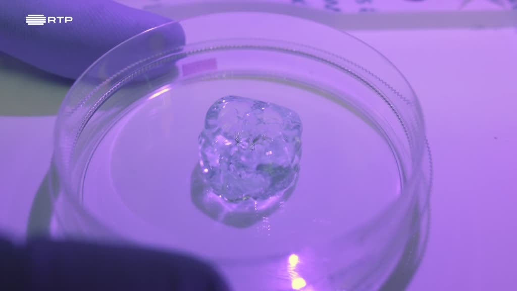 Imagem de UAU - Ciência Sem Limites - Saúde de Qualidade