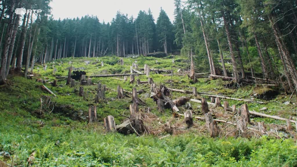 Imagem de UAU - Ciência Sem Limites - Vida Terrestre