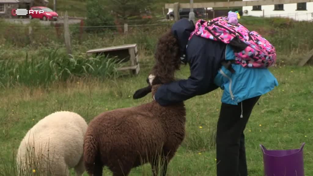 Imagem de Sim, Eu Consigo - Lena - A Pequena Pastora