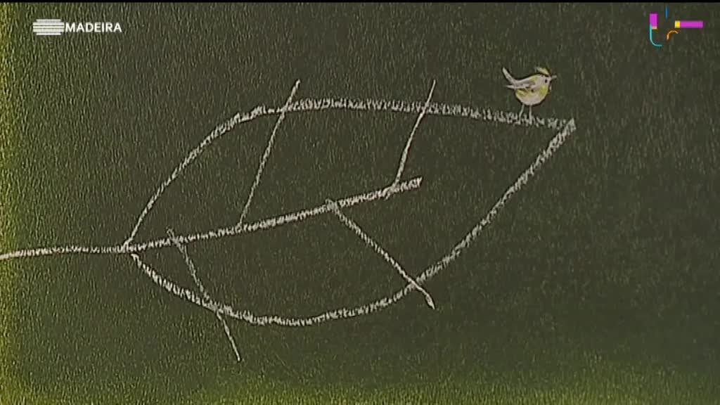 Imagem de Casa das Artes 2022