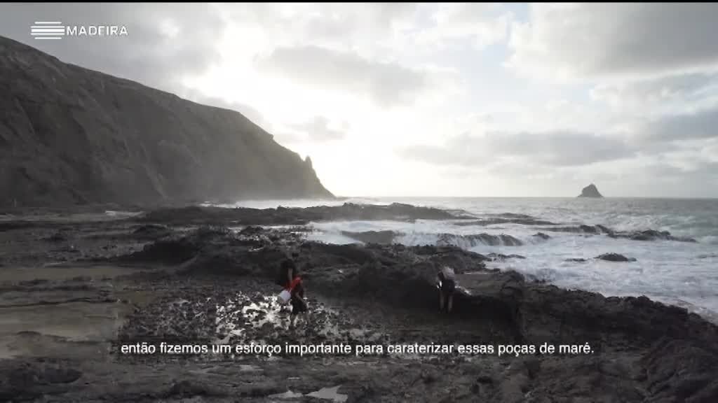 Imagem de Mare@Porto Santo 2020