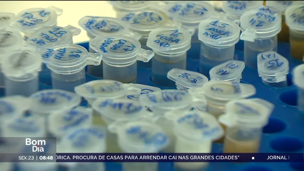 Imagem de Bom Dia Portugal