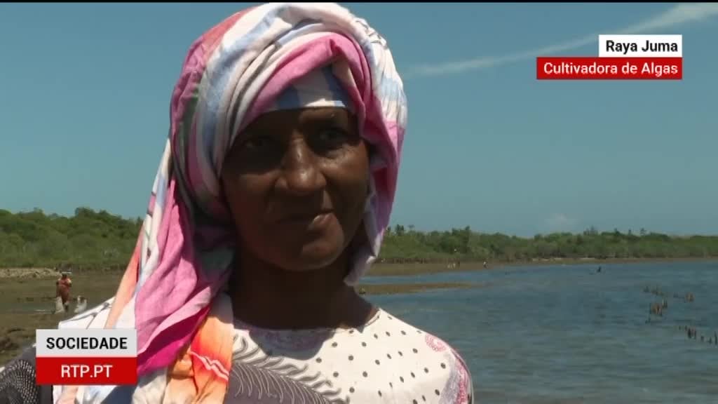 Imagem de Zoom África