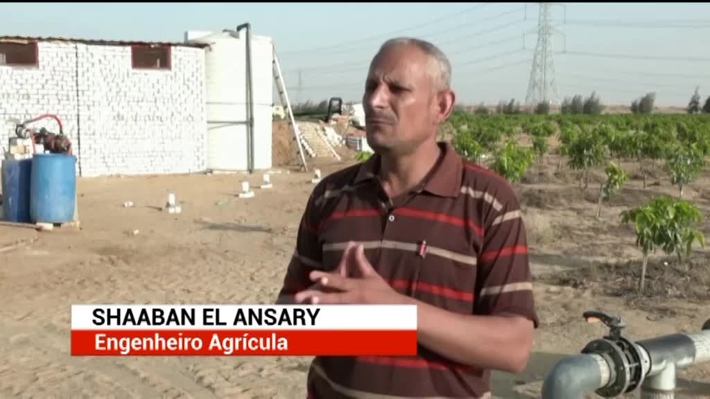 Imagem de África Global