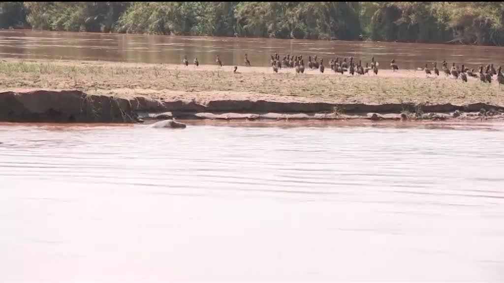 Imagem de África Global