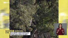 Imagem de Mundo Rural